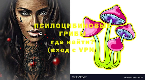 не бодяженный Алексин