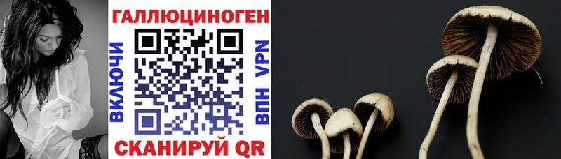 Галлюциногенные грибы мухоморы Инсар